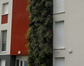 Mur végétal extérieur – Alénya 2017