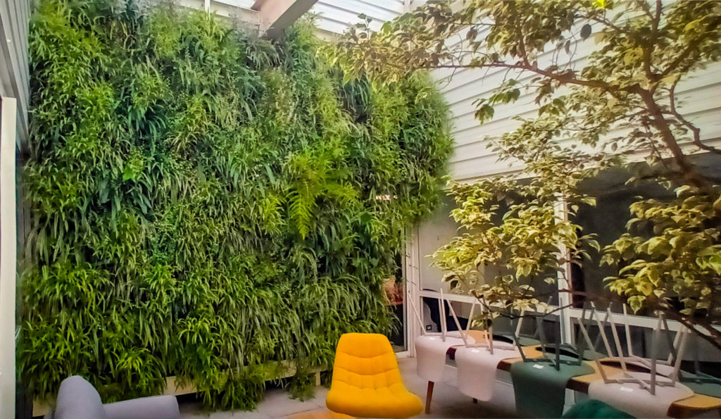 Un mur végétal ausein d'un patio intérieur à l'Anecoop de Perpignan Saint Charles