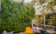 Un mur végétal ausein d'un patio intérieur à l'Anecoop de Perpignan Saint Charles