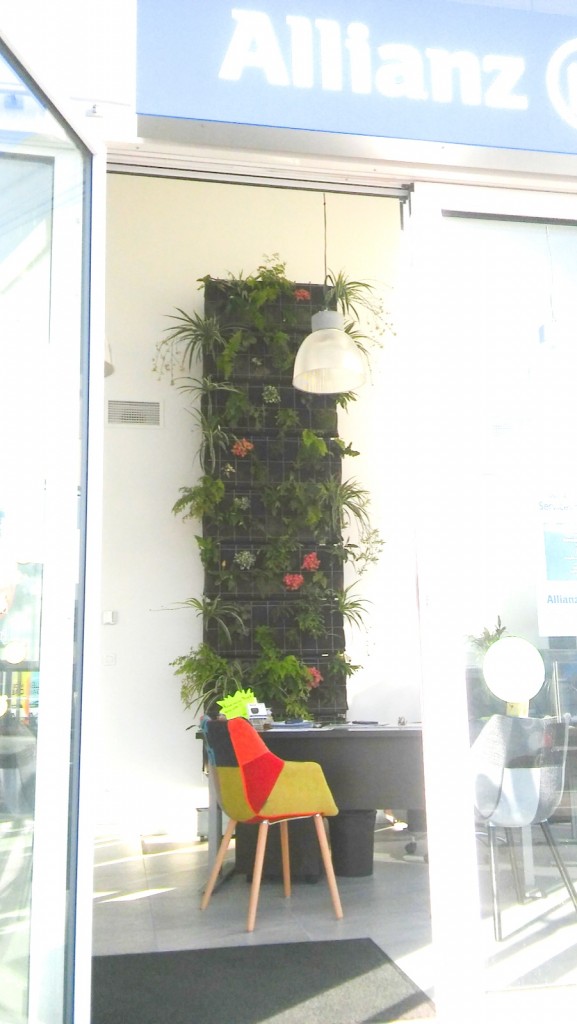 Allianz_1